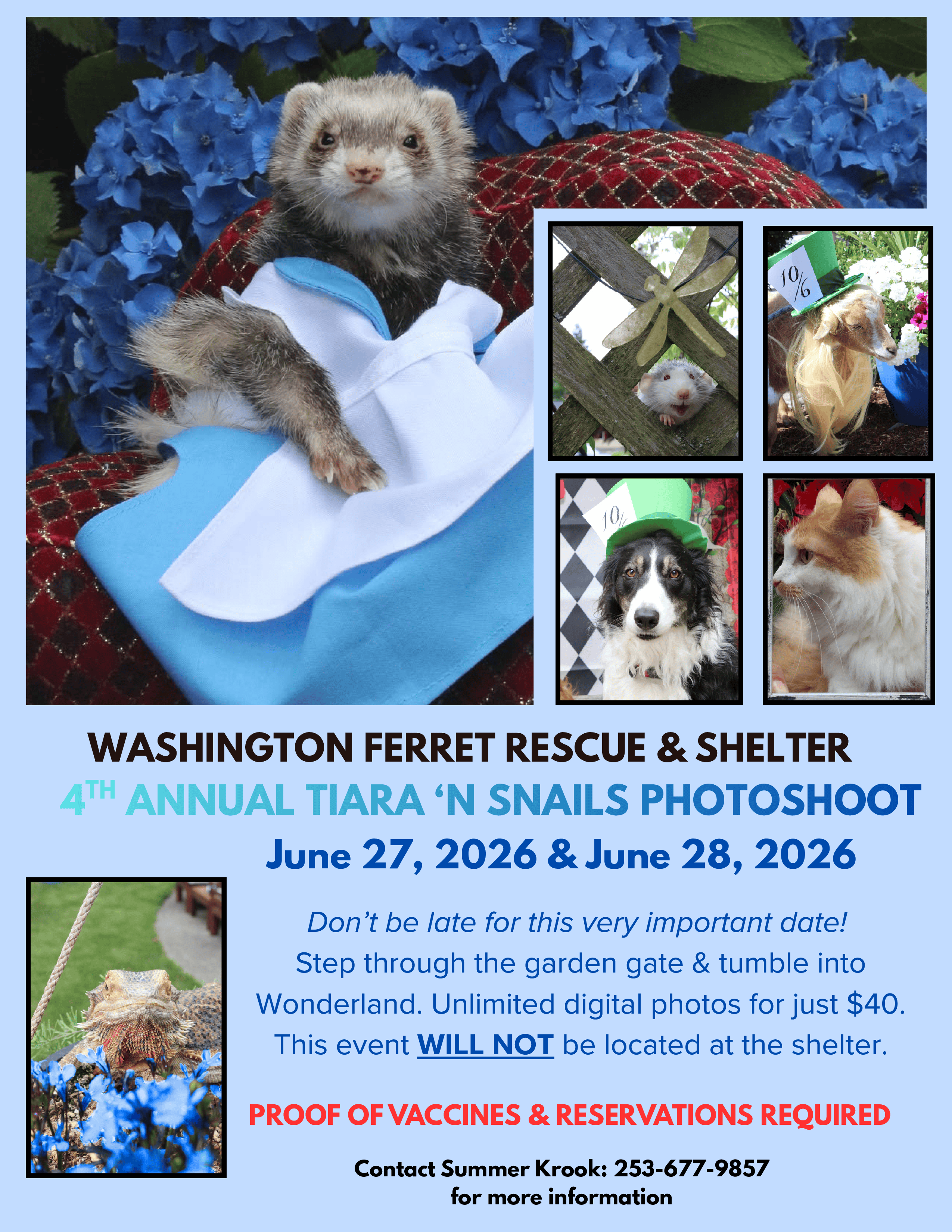 Tiara 'n Snails Photoshoot Flyer - click to download PDF